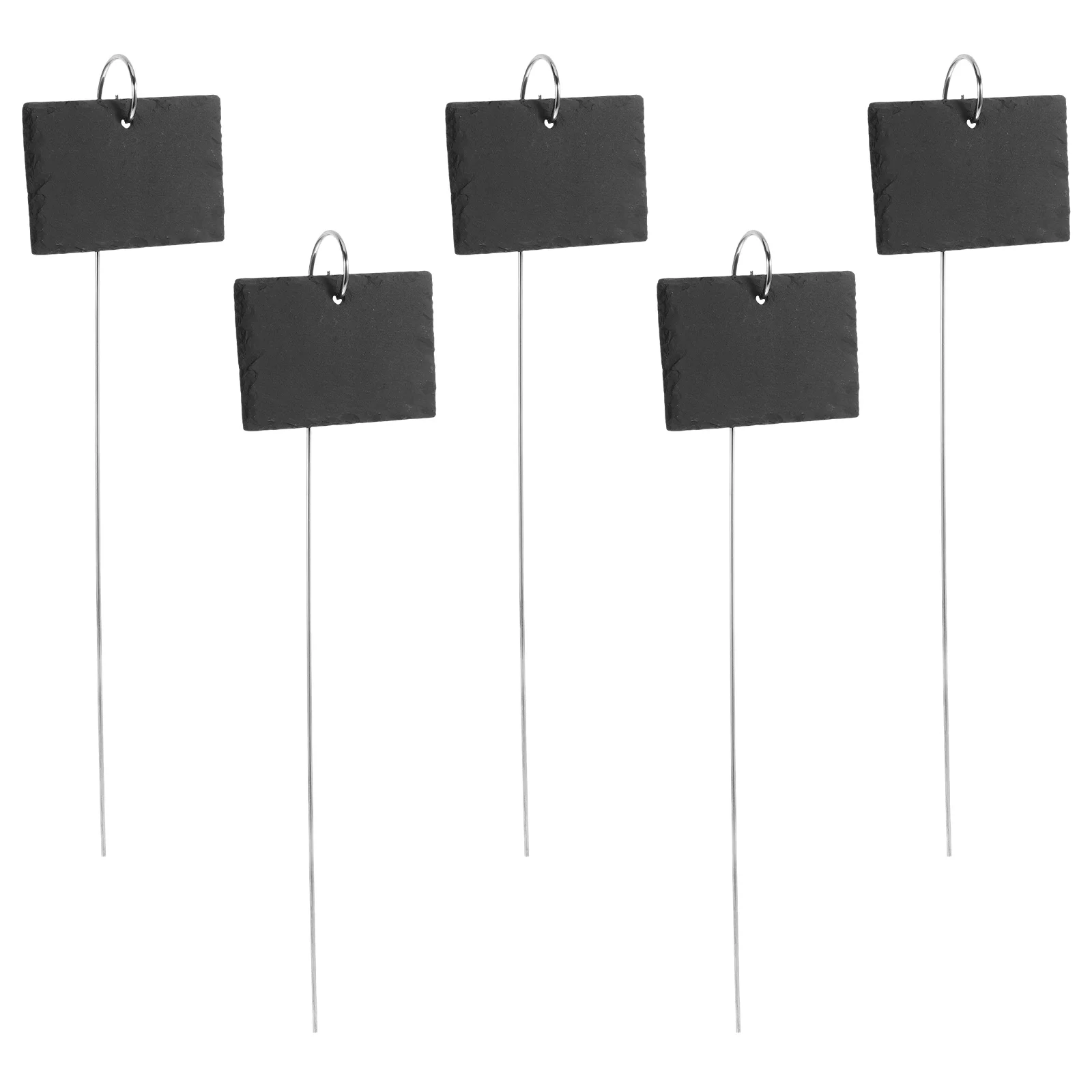 5 Pcs The Sign Plant Label Plants Signs Stainless Steel Herb Garden Nursery Markers
5 Pcs The Sign Plant Label Plants Signs Stainless Steel Herb Garden Nursery Markers