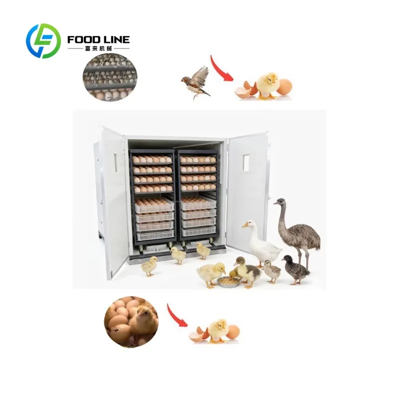 Fully Automatic Commercial Egg Incubator Customized 98% Hatching Rate Industrial Poultry Hatcher Chicken Quail Turkey PC
Fully Automatic Commercial Egg Incubator Customized 98% Hatching Rate Industrial Poultry Hatcher Chicken Quail Turkey PC