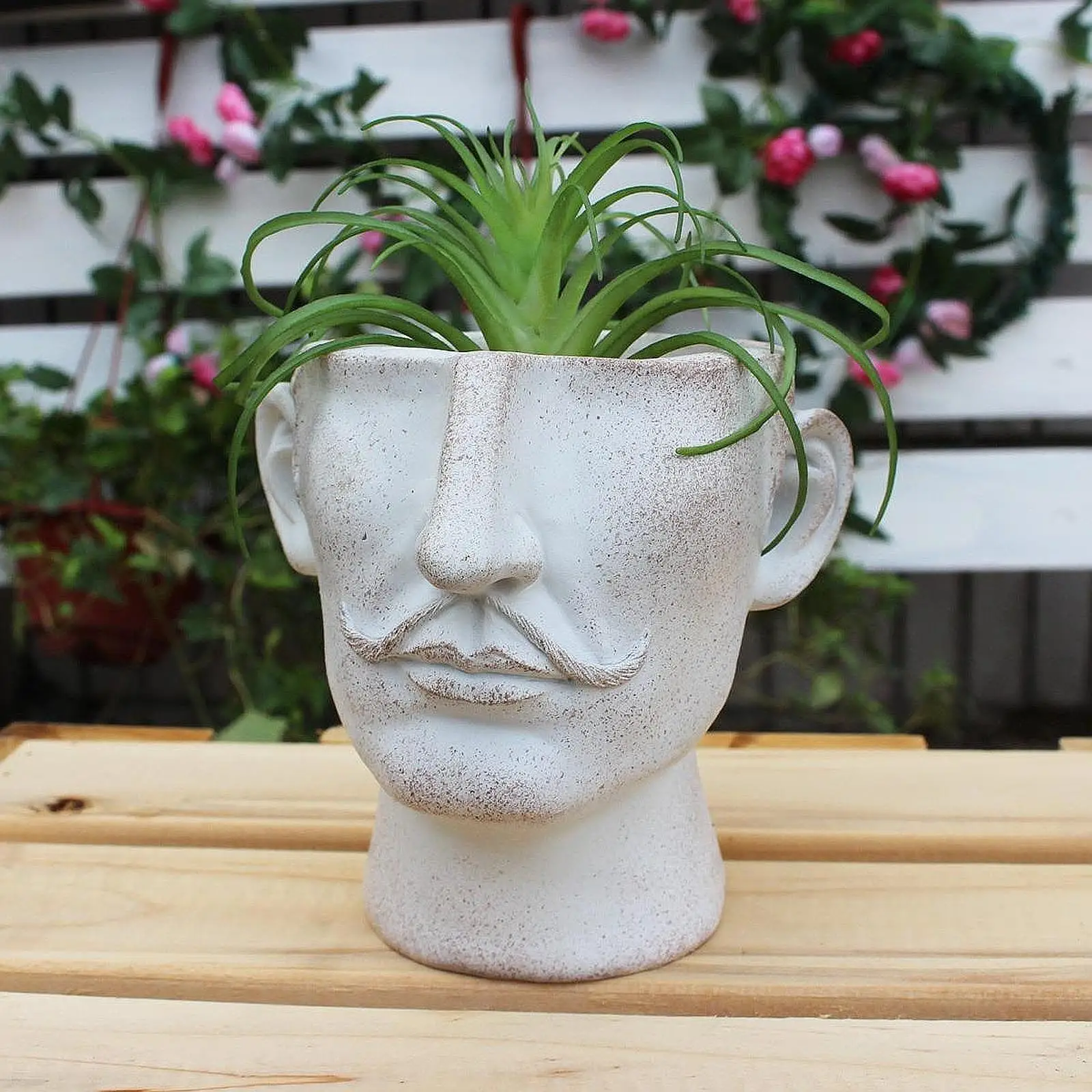 Цветочный горшок для лица, уникальный центральный контейнер для растений для балкона и сада
Цветочный горшок для лица, уникальный центральный контейнер для растений для балкона и сада
