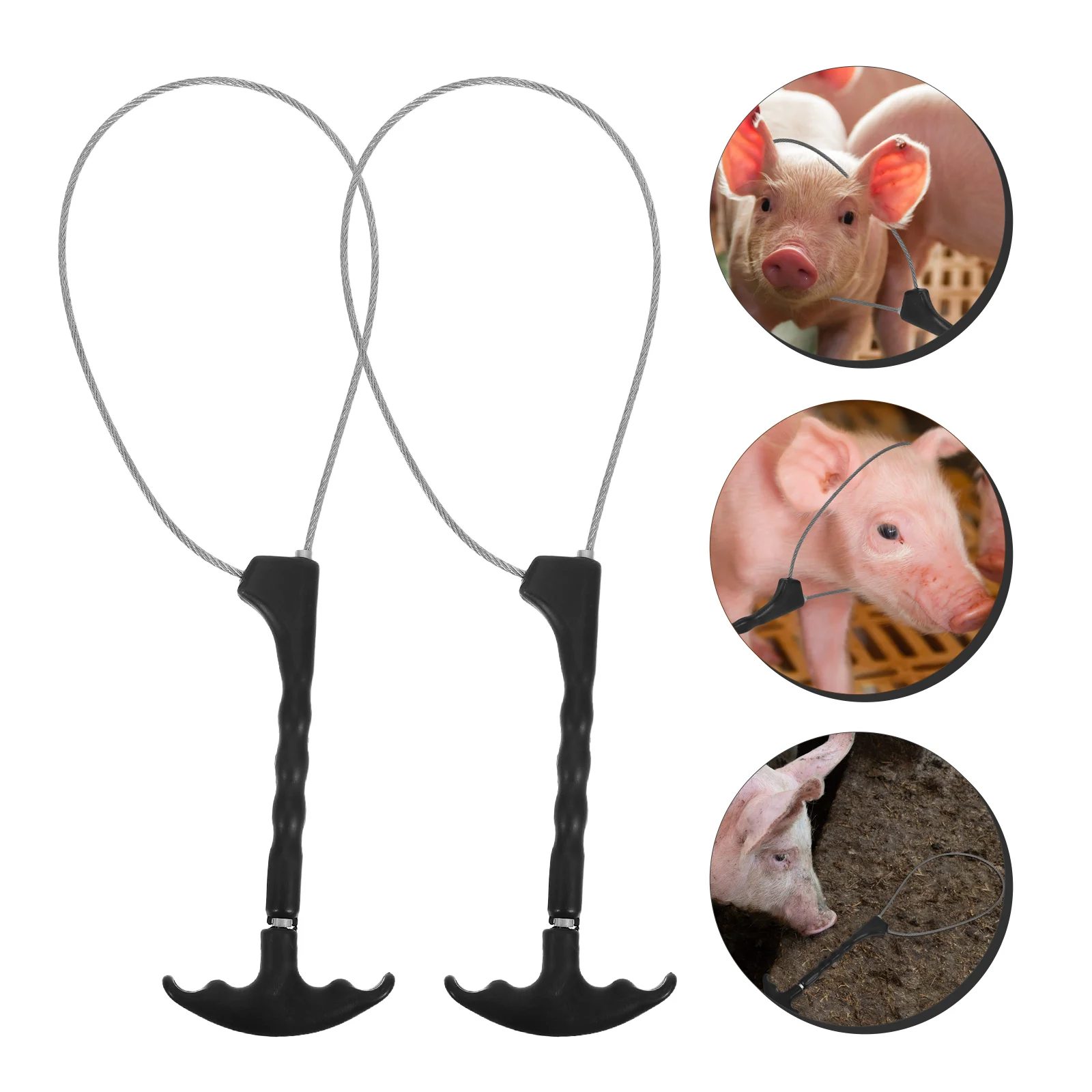 4 Pcs Pig Set Use Wire Rope Animal Car Farming Equipment Catcher for Livestock Plastic Handle Squeezer The
4 Pcs Pig Set Use Wire Rope Animal Car Farming Equipment Catcher for Livestock Plastic Handle Squeezer The