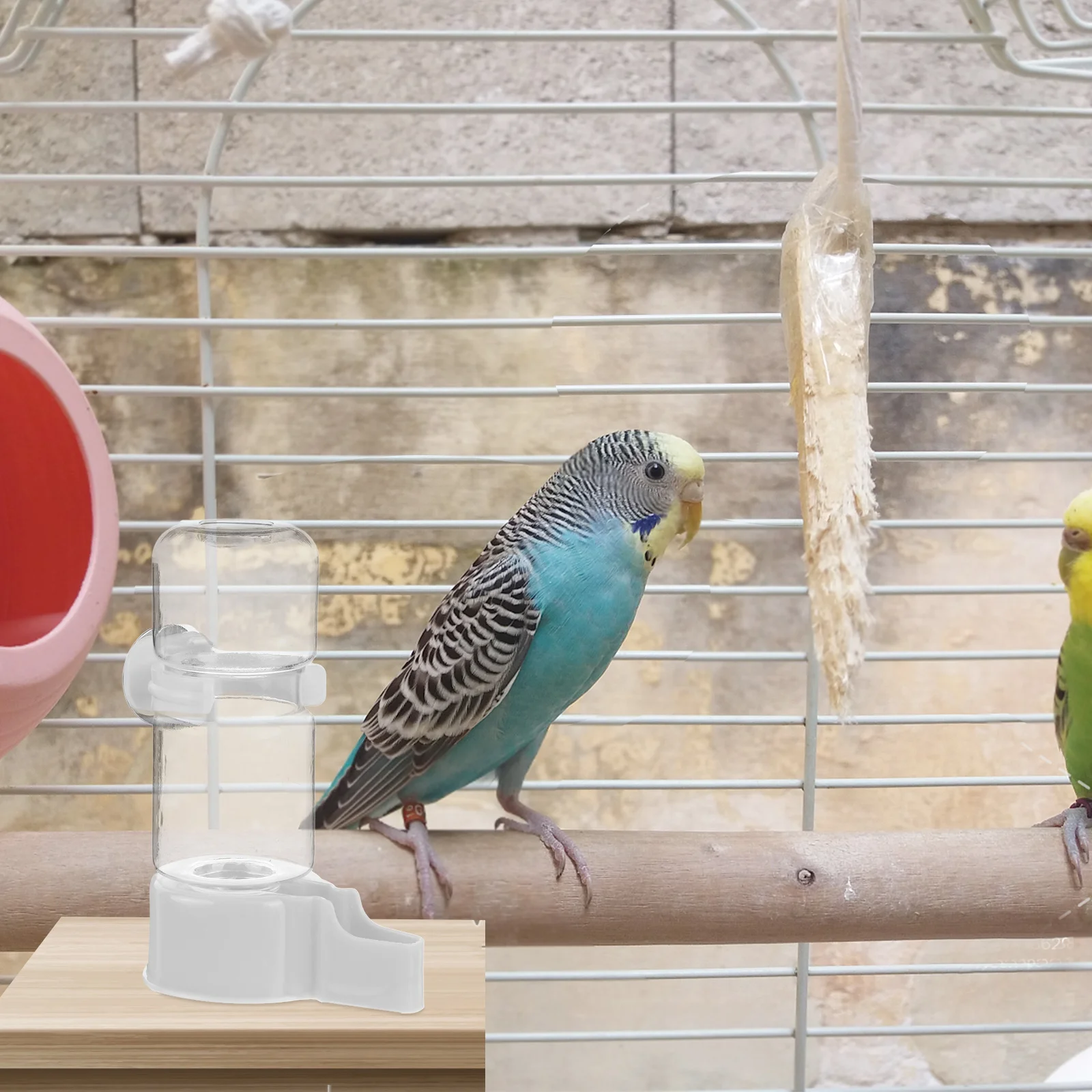 Cockatiel Water Container Dispenser Automatic Water Feeder For Parrots Pigeons Cage Pet Supply Drinking Tool Container
Cockatiel Water Container Dispenser Automatic Water Feeder For Parrots Pigeons Cage Pet Supply Drinking Tool Container