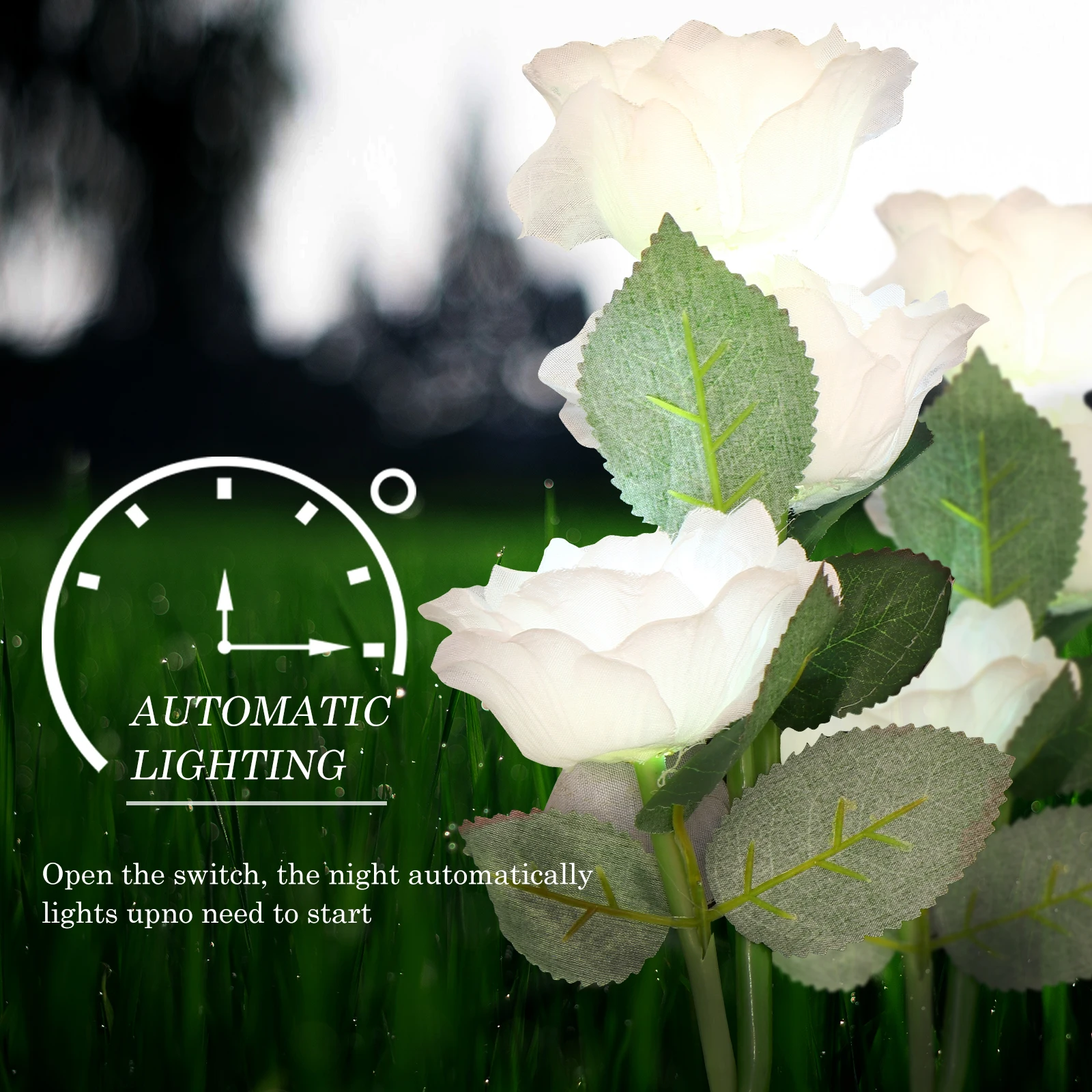 Powered Rose Flower Light Beautiful Outdoor Garden Decoration Solar Flower Lamp for Solar Floral Light Patio Yard
Powered Rose Flower Light Beautiful Outdoor Garden Decoration Solar Flower Lamp for Solar Floral Light Patio Yard