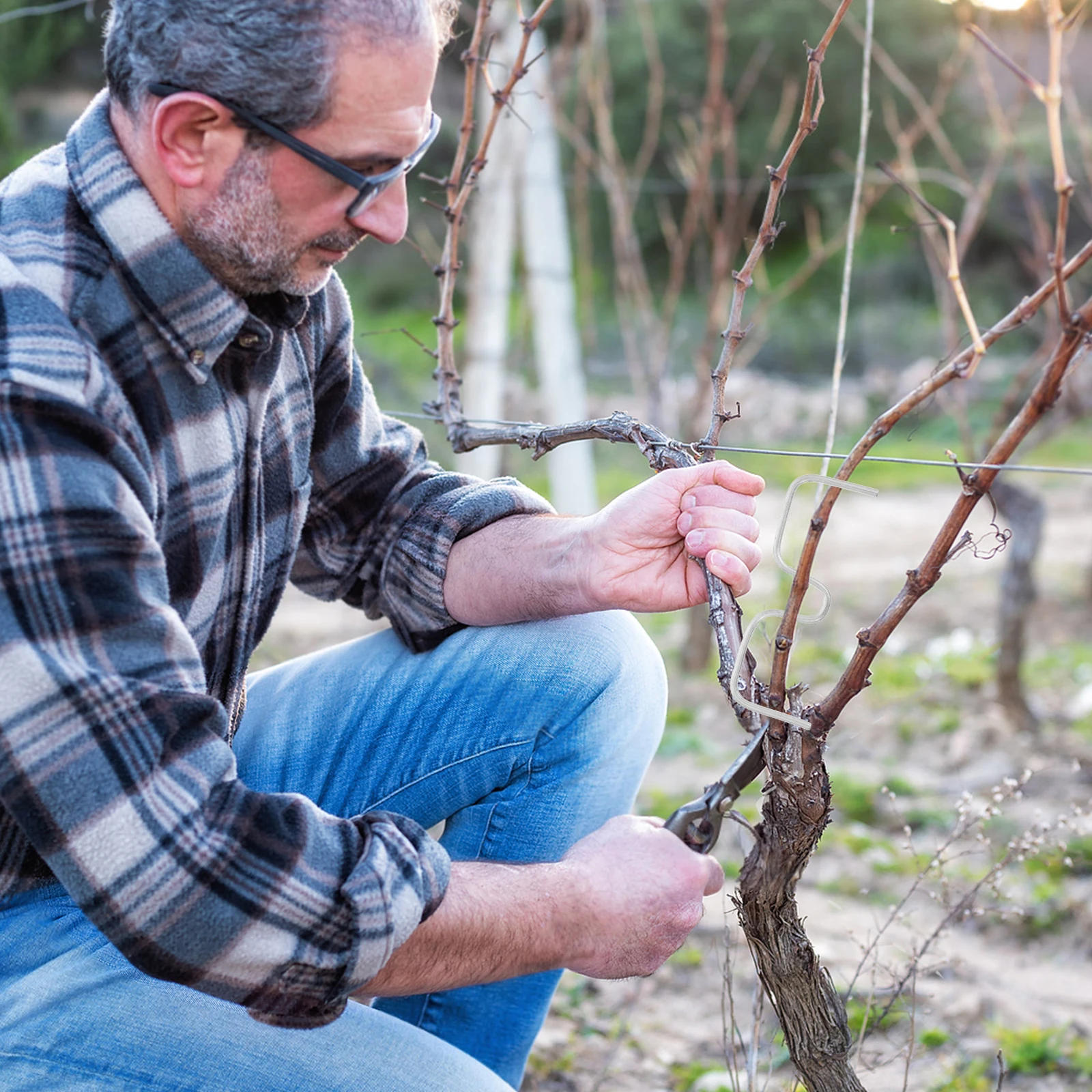 14Pcs Tree Branch Spreader Tool for Fruit Trees Plant Training Branch Limb Benders Garden Shaping Fixing Clips
14Pcs Tree Branch Spreader Tool for Fruit Trees Plant Training Branch Limb Benders Garden Shaping Fixing Clips