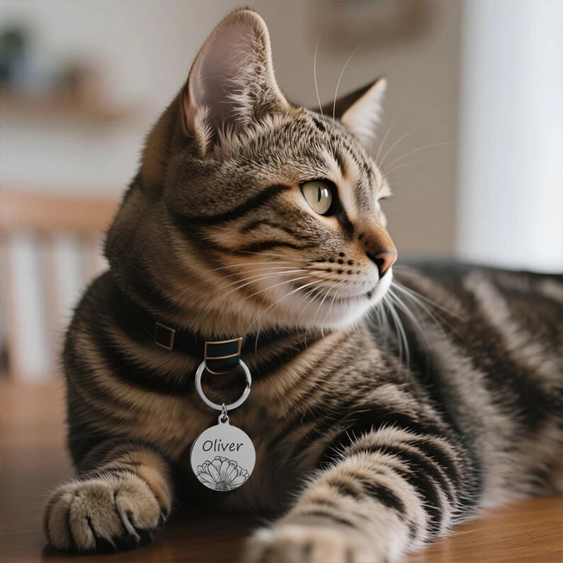 Custom Photo Keychain Pet Loss Collar Tag Personalized Keychain Stainless Steel Keyring Laser Engrave Photo & Phone information
Custom Photo Keychain Pet Loss Collar Tag Personalized Keychain Stainless Steel Keyring Laser Engrave Photo & Phone information