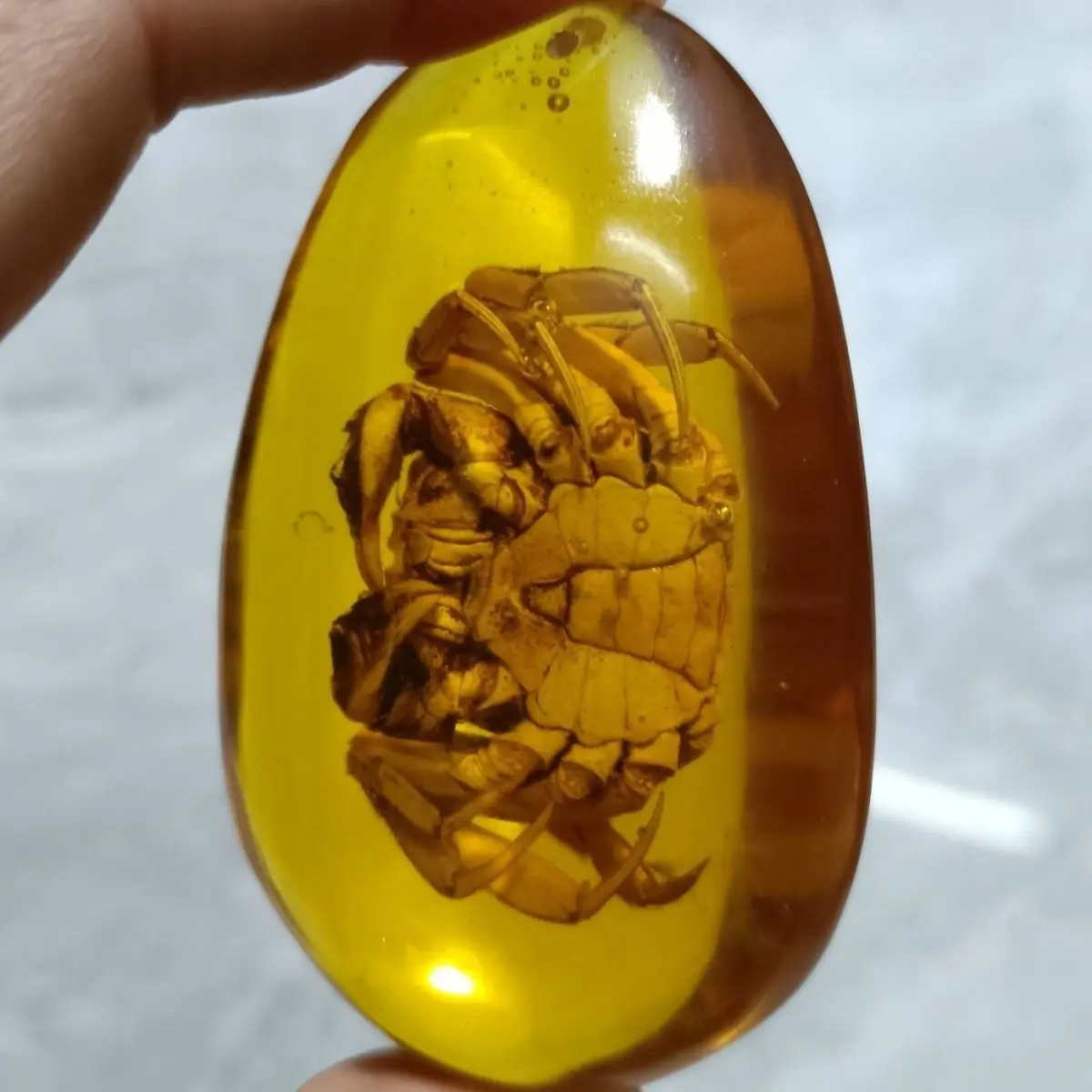 Natural Amber Necklace Men Women Healing Gemstone Fine Jewelry Genuine Baltic Amber Crab Pendant Necklace Lucky Charms Amulets
Natural Amber Necklace Men Women Healing Gemstone Fine Jewelry Genuine Baltic Amber Crab Pendant Necklace Lucky Charms Amulets