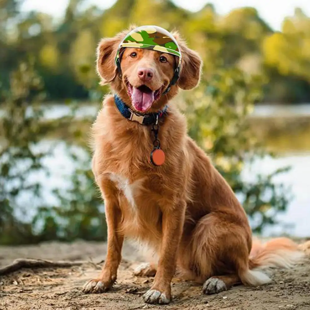Comfortable Pet Head Protection Protective Pet Headgear Sport Dog Motorcycle Helmet with for Anti impact for Outdoor
Comfortable Pet Head Protection Protective Pet Headgear Sport Dog Motorcycle Helmet with for Anti impact for Outdoor