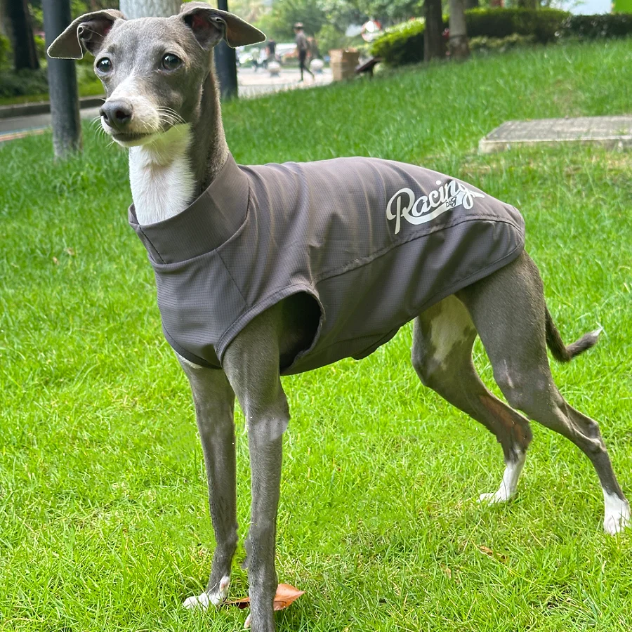 Summer Quick-drying Sunscreen Cold fabric Vest for Italian Greyhound Breathable Thin Dark Grey T-shirt for Bedlington Whippet
Summer Quick-drying Sunscreen Cold fabric Vest for Italian Greyhound Breathable Thin Dark Grey T-shirt for Bedlington Whippet