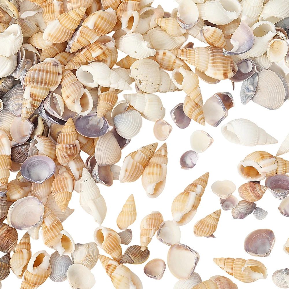 150G 5 Styles Mixed Shell Beads No Hole Shell Shape Mixed Color 7~31x5~17x5~11mm 30g/style
150G 5 Styles Mixed Shell Beads No Hole Shell Shape Mixed Color 7~31x5~17x5~11mm 30g/style