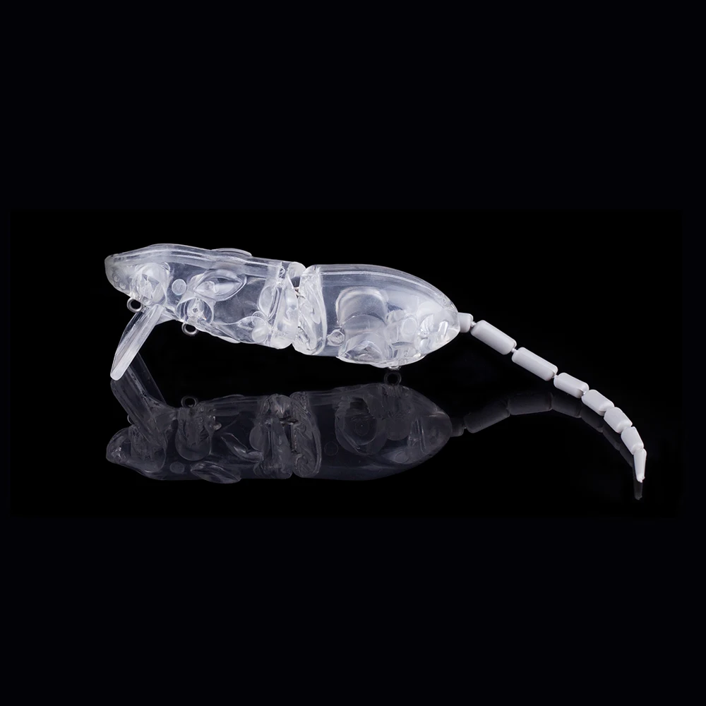 Hanlin 5/10pcs 8cm 13.5G Blanks Jointed Floating Rat Swimbait Water Bait Pike Muskies Soft Tail Unpainted Mouse Lure Fishing
Hanlin 5/10pcs 8cm 13.5G Blanks Jointed Floating Rat Swimbait Water Bait Pike Muskies Soft Tail Unpainted Mouse Lure Fishing