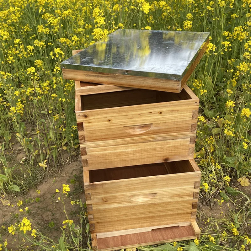 Новая горячая распродажа, оборудование для пчеловодства, улы, еда на языковом ударе, сосна 10, рама с двумя глубокими коробками для
Новая горячая распродажа, оборудование для пчеловодства, улы, еда на языковом ударе, сосна 10, рама с двумя глубокими коробками для