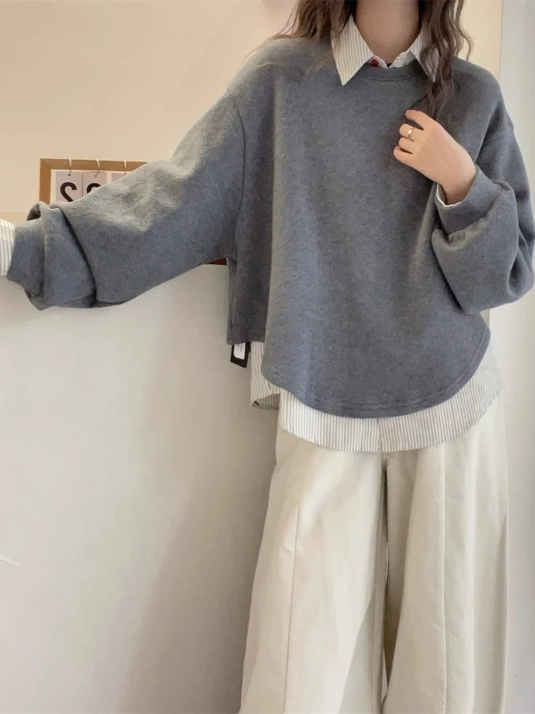 Loose Grey Retro Two-Piece Hoodie Women's Inner Wear Spring plus Size Short Top Korean Style Long Sleeve Regular Fit Hoodie
Loose Grey Retro Two-Piece Hoodie Women's Inner Wear Spring plus Size Short Top Korean Style Long Sleeve Regular Fit Hoodie