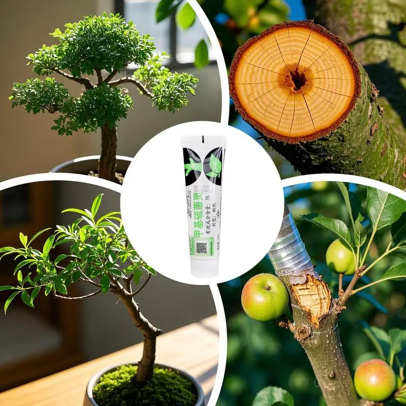 Tree Wound Sealer Tree Wound Repair Agent Quick Recovery Bonsai Care Supplies For Shrubs Roses Coniferous And Tropical Varieties
Tree Wound Sealer Tree Wound Repair Agent Quick Recovery Bonsai Care Supplies For Shrubs Roses Coniferous And Tropical Varieties
