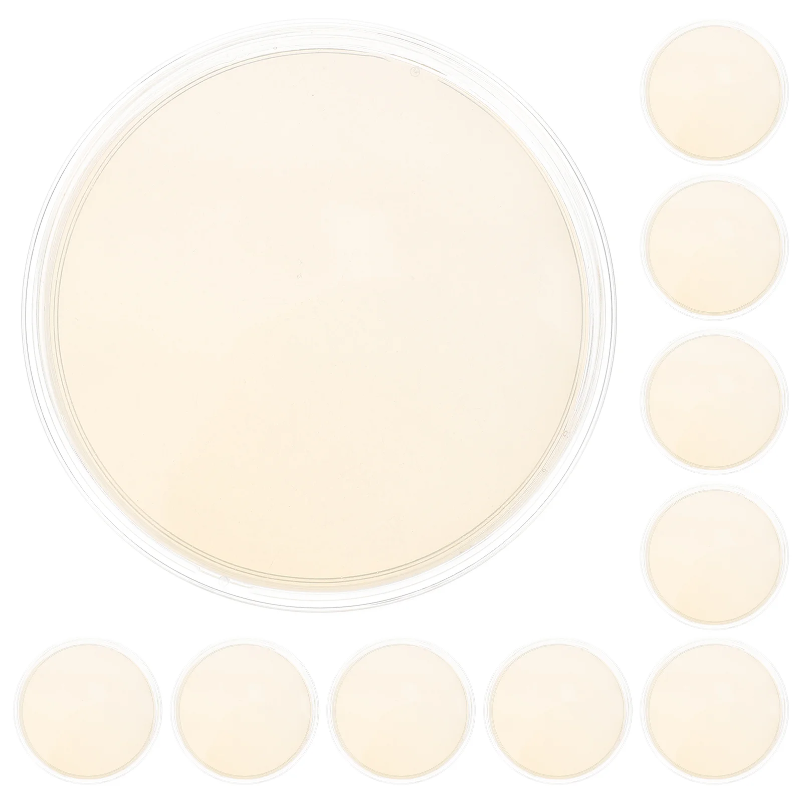 10 Pcs Agar Plates Medium Petri Dish with Prepoured Finished Product Dad Organic
10 Pcs Agar Plates Medium Petri Dish with Prepoured Finished Product Dad Organic
