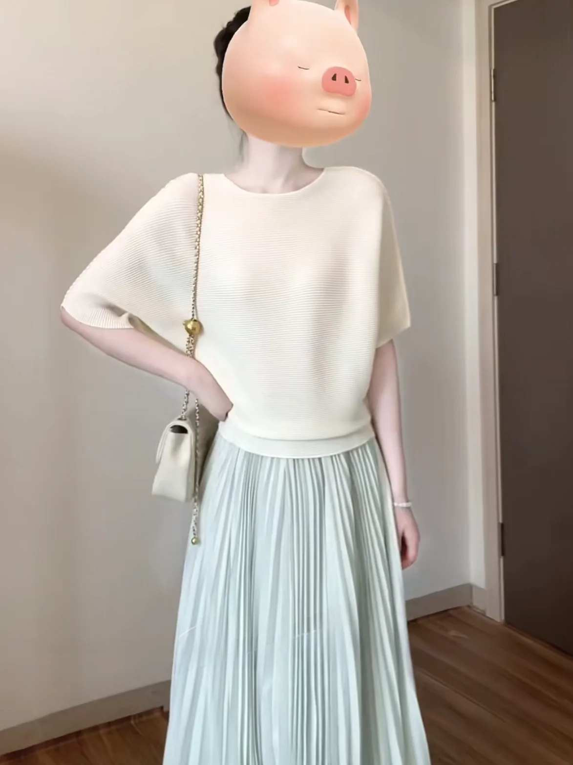 Korean Minimalist Style Pleated Chiffon Skirt Women's Summer Mint Green A-Line Slimming Long Skirt High Waist Other Other
Korean Minimalist Style Pleated Chiffon Skirt Women's Summer Mint Green A-Line Slimming Long Skirt High Waist Other Other