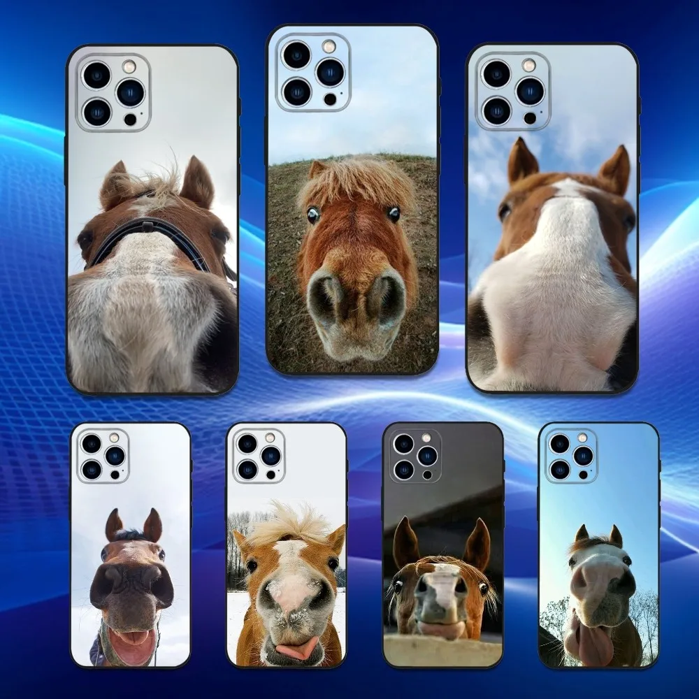 Funny Animal Horse Phone Case For iPhone 16,15,14,13,12,11 Plus,Pro Max,XS,X,XR,SE,Mini,8,7,Soft Silicone Black Cover
Funny Animal Horse Phone Case For iPhone 16,15,14,13,12,11 Plus,Pro Max,XS,X,XR,SE,Mini,8,7,Soft Silicone Black Cover