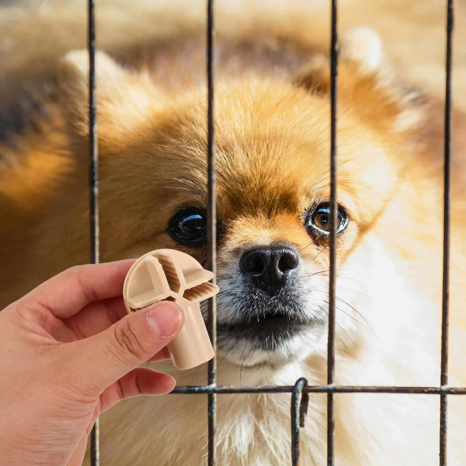 10Pcs Buckle Accessories Plastic Connectors for Wire Shelving Grid Cube Storage Organizer Closet Accessories Cage Playpen
10Pcs Buckle Accessories Plastic Connectors for Wire Shelving Grid Cube Storage Organizer Closet Accessories Cage Playpen