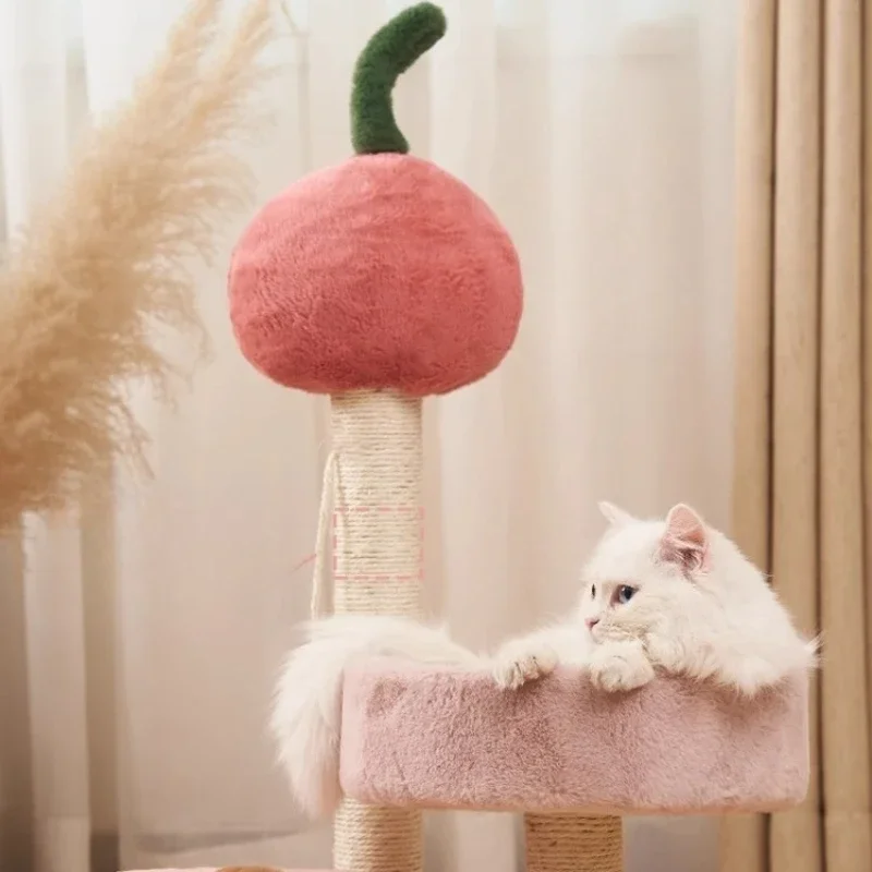 Small does not occupy the cat shelf, cat toy supplies Daquan
Small does not occupy the cat shelf, cat toy supplies Daquan
