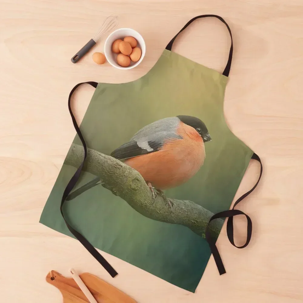 Eurasian Bullfinch Apron Chef Uniform For Men Manicurists kitchen clothes Kitchen Kawaii Accessories Apron 
Eurasian Bullfinch Apron Chef Uniform For Men Manicurists kitchen clothes Kitchen Kawaii Accessories Apron