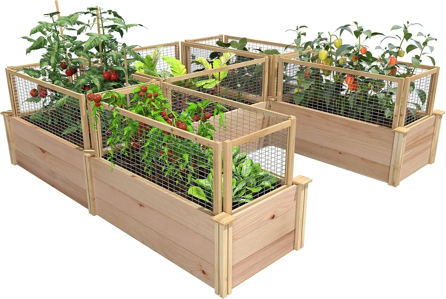 Greenes Fence Premium Cedar Raised Garden Bed with CritterGuard Fence System, 8' x 8' x 16.5" U-Shaped Bed - Made in USA
Greenes Fence Premium Cedar Raised Garden Bed with CritterGuard Fence System, 8' x 8' x 16.5" U-Shaped Bed - Made in USA