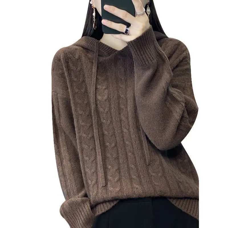 Fashion Hoodie Sweater Hooded Knitted Pullover Casual Top Loose Versatile Bottoming Shirt New Style
Fashion Hoodie Sweater Hooded Knitted Pullover Casual Top Loose Versatile Bottoming Shirt New Style