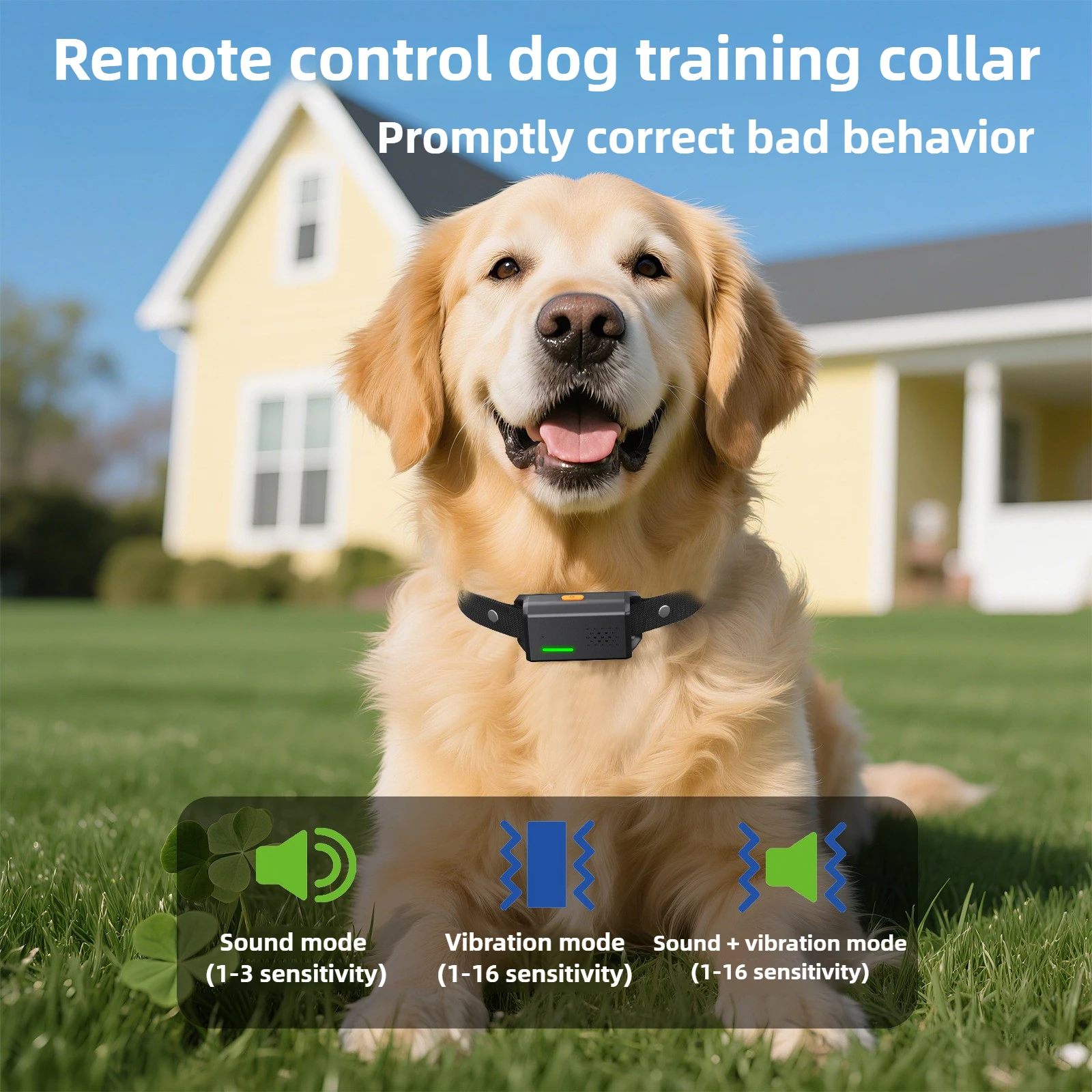 Long Distance Remote Control Dog Training Collar Smart Waterproof Rechargeable Trainer for Dogs
Long Distance Remote Control Dog Training Collar Smart Waterproof Rechargeable Trainer for Dogs