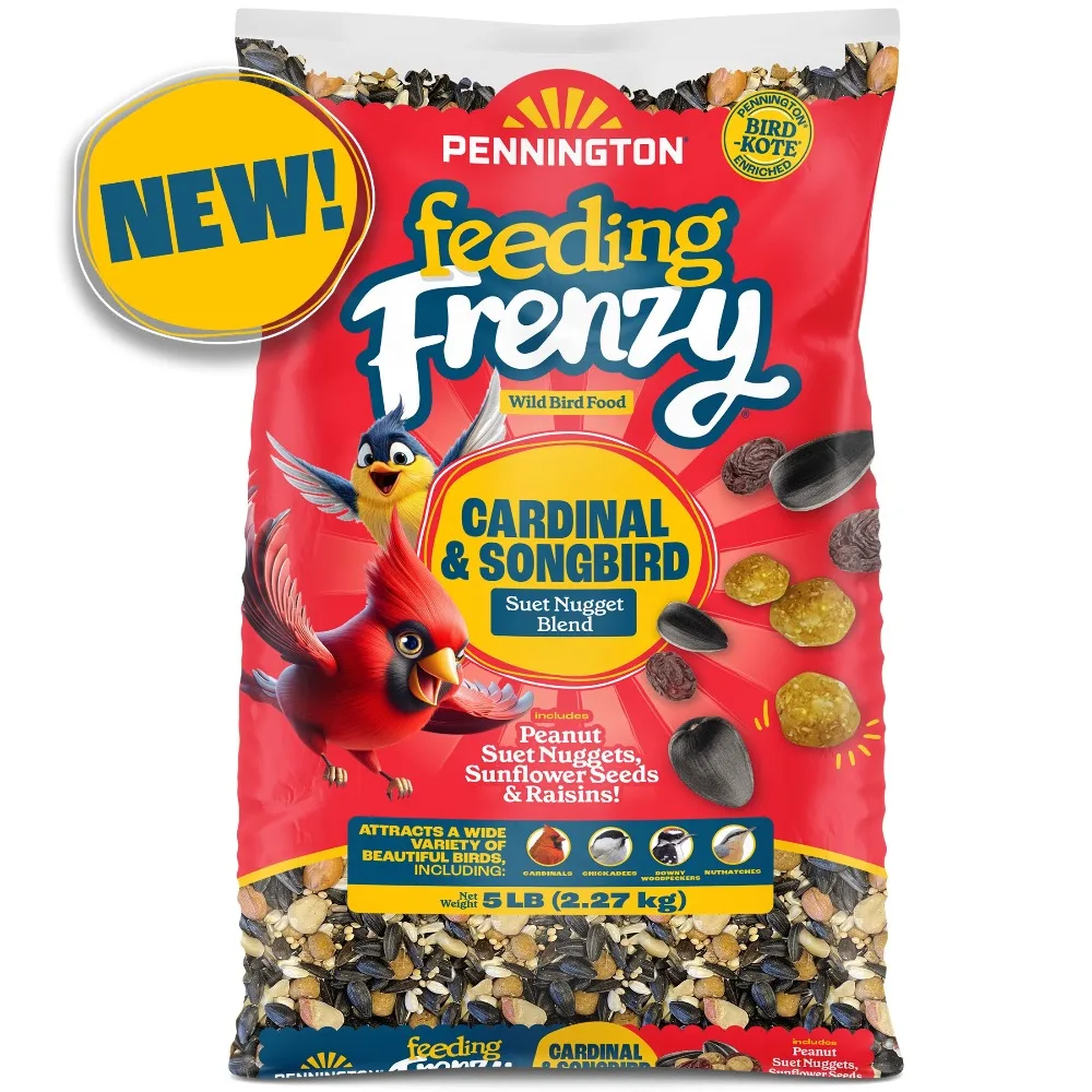 Premium Wild Bird Food Blend for Cardinals and Songbirds Nutritious Seed Mix Attracts Red Birds and Chirping Birds 5 lb Bag Outdoor Birdfeeder Supply
Premium Wild Bird Food Blend for Cardinals and Songbirds Nutritious Seed Mix Attracts Red Birds and Chirping Birds 5 lb Bag Outdoor Birdfeeder Supply