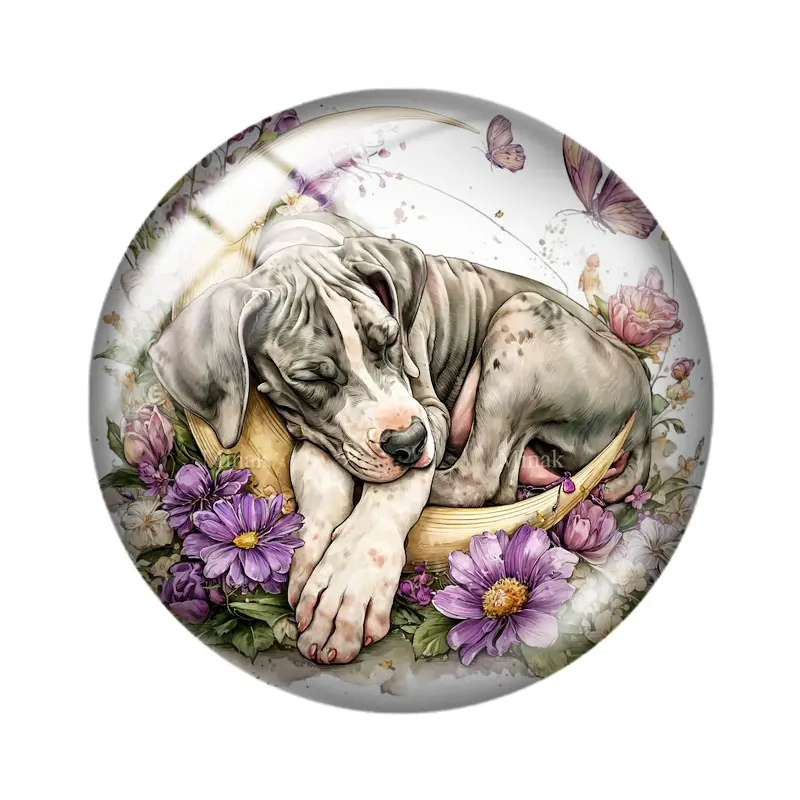 Sleeping Puppy 12/18/20/25mm glass cabochon bracelet pendant rings for jewelry demo earrings back Making findings
Sleeping Puppy 12/18/20/25mm glass cabochon bracelet pendant rings for jewelry demo earrings back Making findings