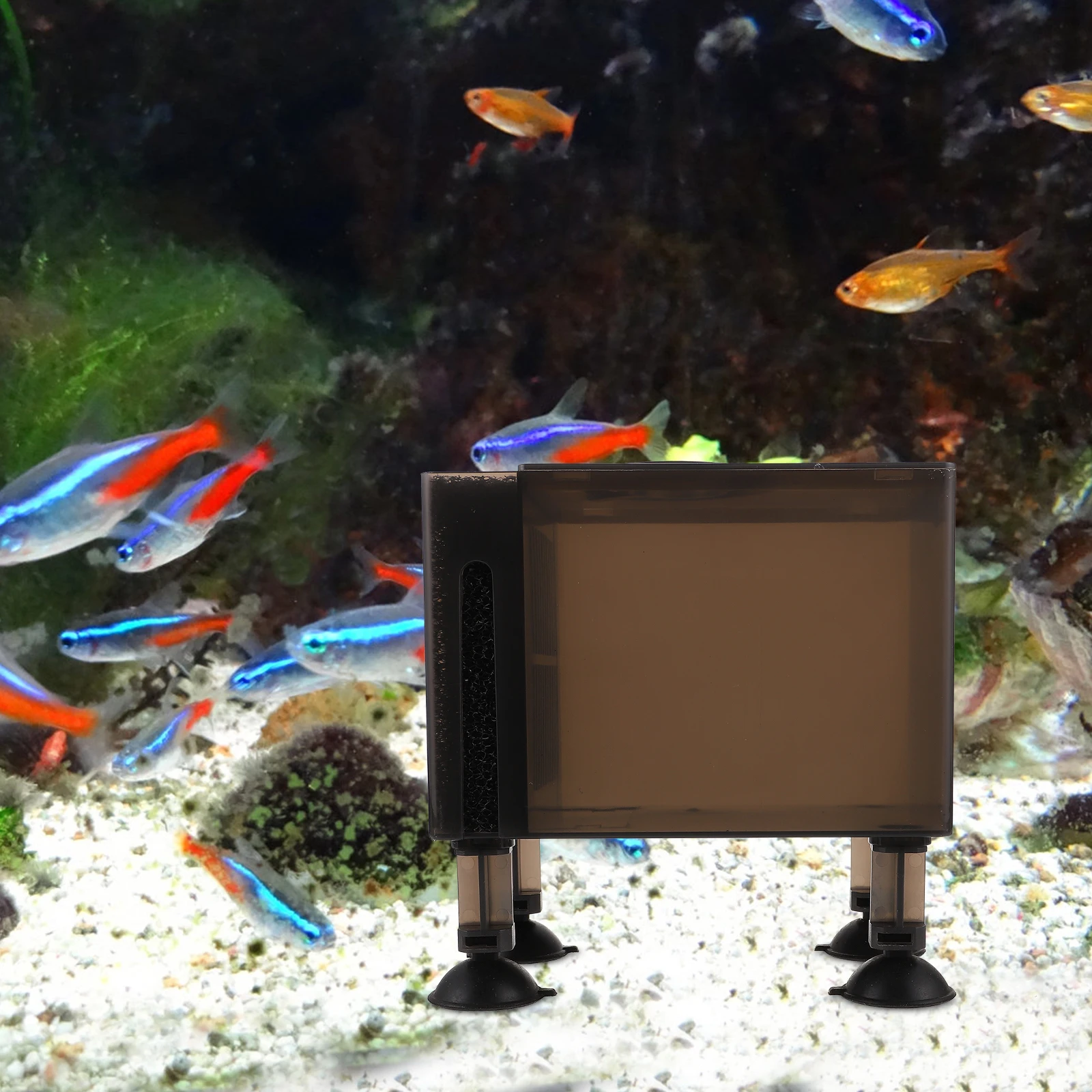 Black 150CM Water Pump Case Filter Cotton Durable Plastic Compact Size Lightweight Fishkeeping Garden Pond Accessory Household
Black 150CM Water Pump Case Filter Cotton Durable Plastic Compact Size Lightweight Fishkeeping Garden Pond Accessory Household