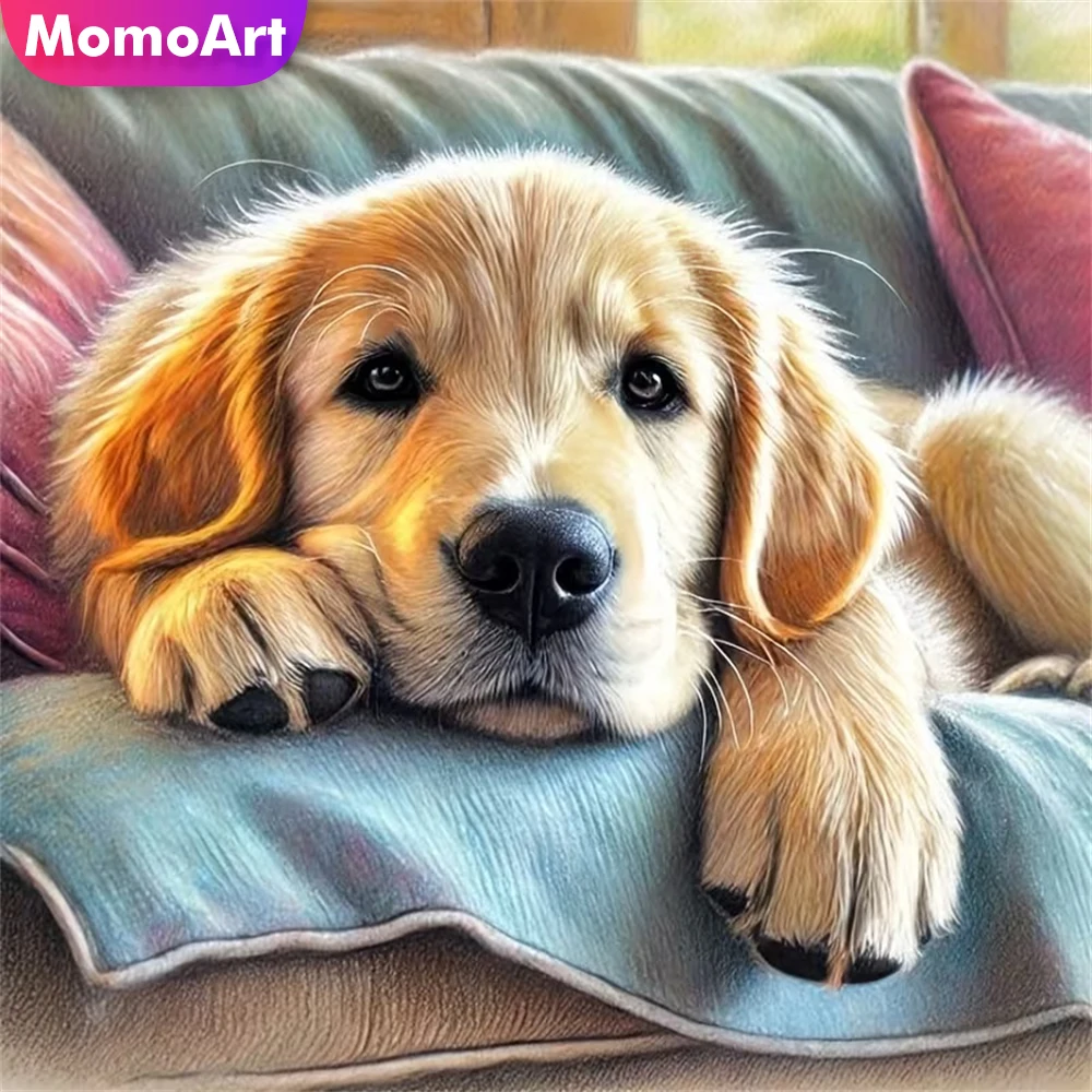 Momoart Алмазная вышивка собака животное картина стразы DIY живопись акриловые принадлежности для рукоделия Алмазная мозаика подарок ручной работы
Momoart Алмазная вышивка собака животное картина стразы DIY живопись акриловые принадлежности для рукоделия Алмазная мозаика подарок ручной работы