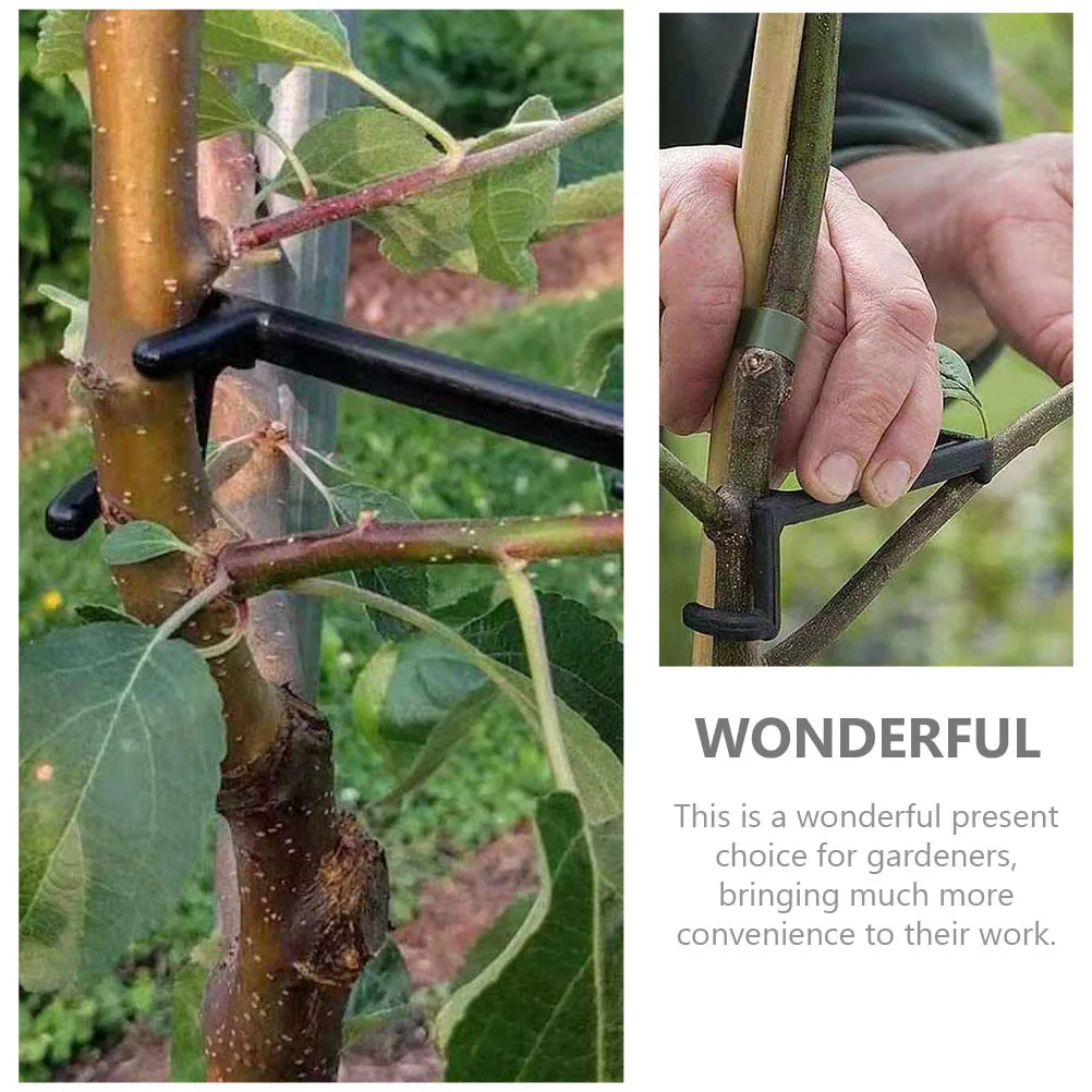100pcs Branch Spreaders for Fruit Trees Plastic Spreader Durable Reusable Easy Install RemoveTwig Bending Clip Gardening Tools
100pcs Branch Spreaders for Fruit Trees Plastic Spreader Durable Reusable Easy Install RemoveTwig Bending Clip Gardening Tools