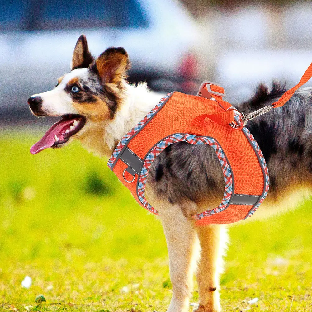 1 Set Leash Adjustable Pet Wear-Resistant Reusable Small Large Puppy Harness Portable Comfortable Outdoor Walking Accessory Dog
1 Set Leash Adjustable Pet Wear-Resistant Reusable Small Large Puppy Harness Portable Comfortable Outdoor Walking Accessory Dog