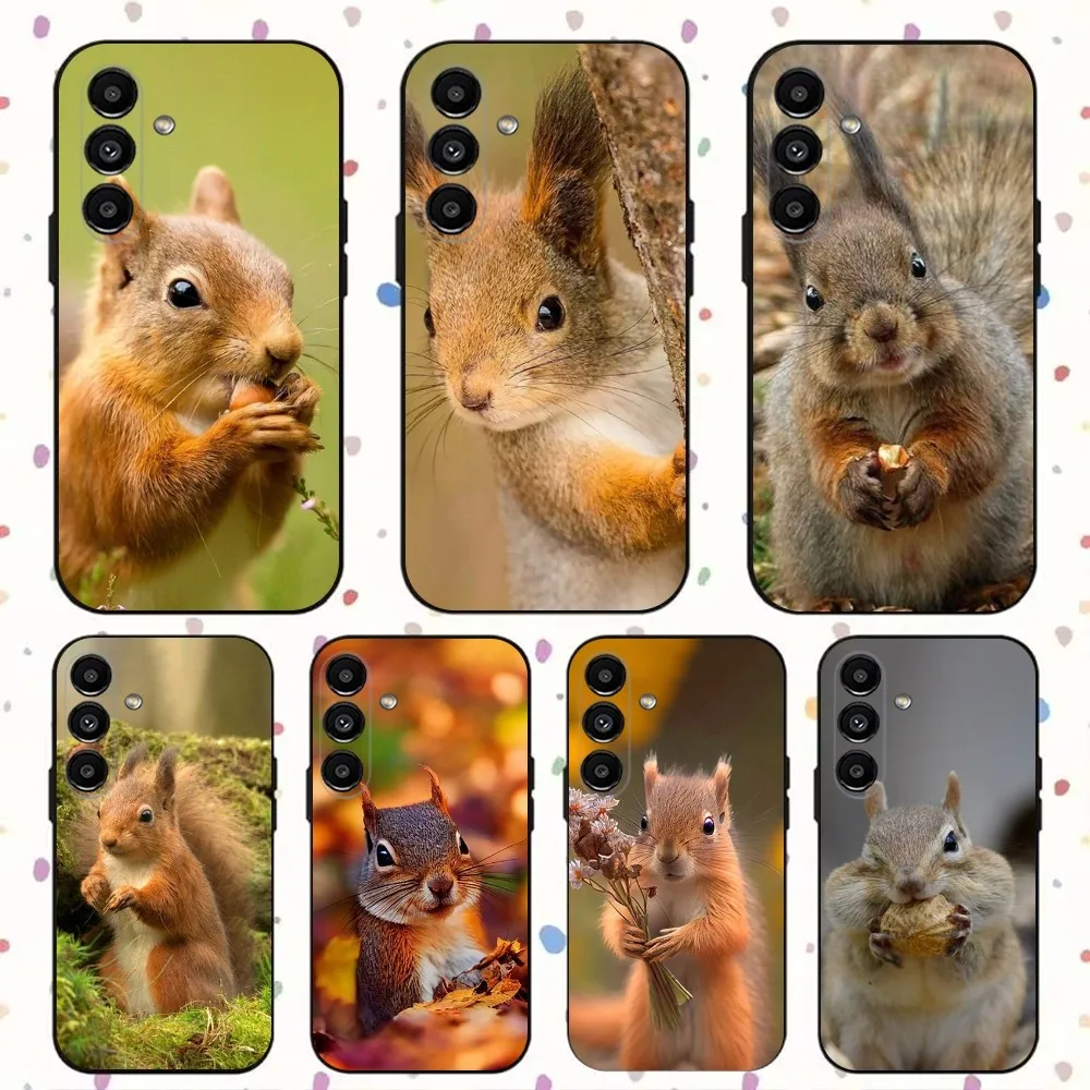 cute squirrel Phone Case For Samsung S24,S21,S22,S23,S30,Ultra,S20,Plus,Fe,Lite,Note,10,9,5G Black Soft Cover
cute squirrel Phone Case For Samsung S24,S21,S22,S23,S30,Ultra,S20,Plus,Fe,Lite,Note,10,9,5G Black Soft Cover