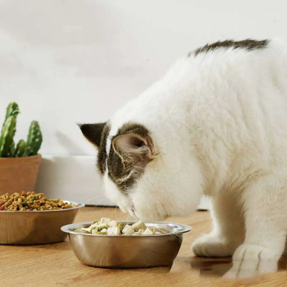 Dog Feeding Bowl Large Capacity Dog Bowl Stainless Steel Non-rust Cat Feeder Silver Pet Food Container Kitten
Dog Feeding Bowl Large Capacity Dog Bowl Stainless Steel Non-rust Cat Feeder Silver Pet Food Container Kitten