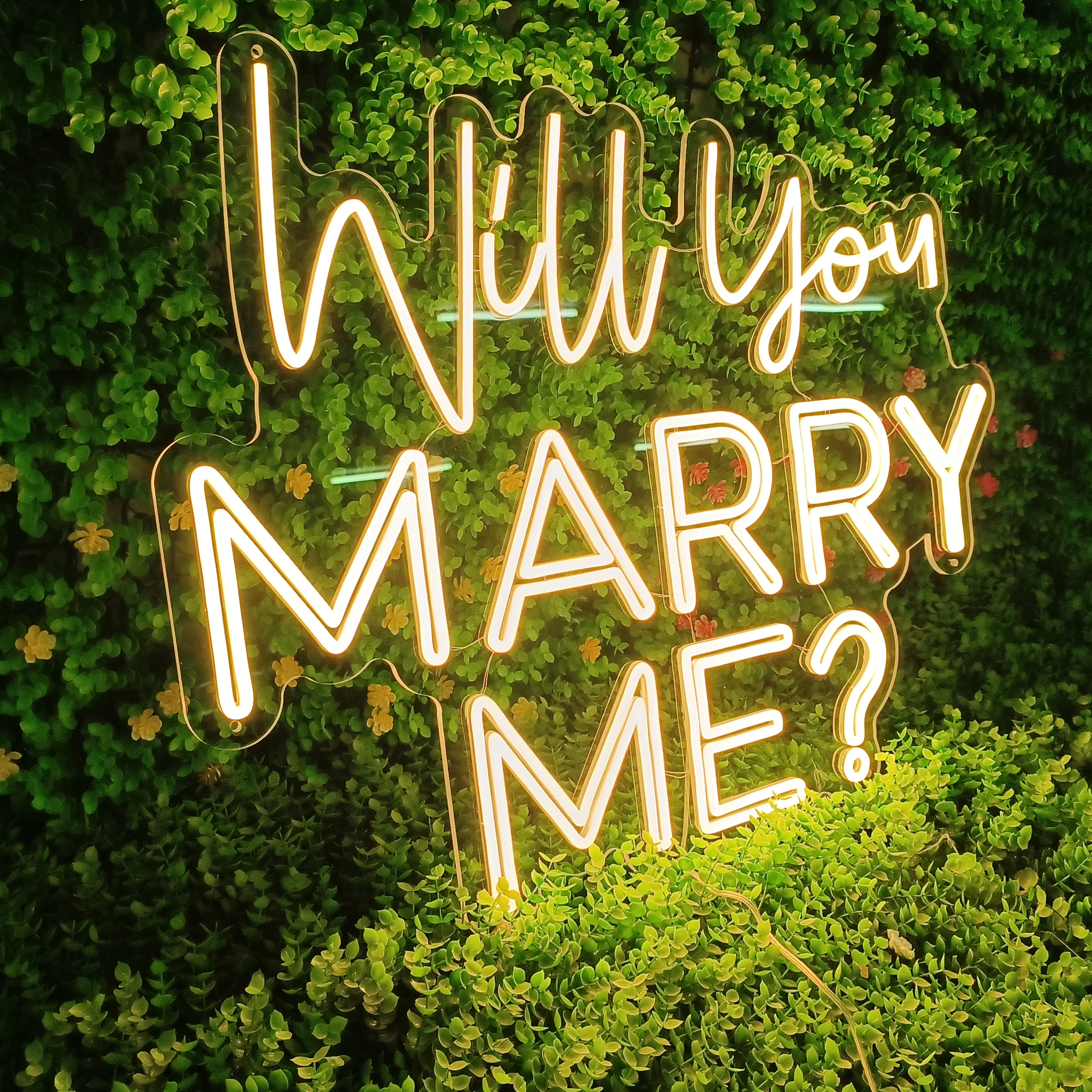Will You Marry Me,Custom Wedding Neon Signs,Wedding Proposal Wall Art Decor,Reception Light Sign,Engagement Party Decor,Bridal s
Will You Marry Me,Custom Wedding Neon Signs,Wedding Proposal Wall Art Decor,Reception Light Sign,Engagement Party Decor,Bridal s