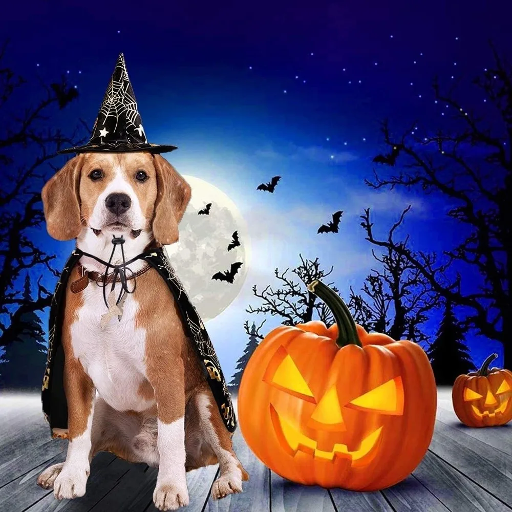 Funny Pumpkin Pet Halloween Costumes Cape Adjustable Soft Cats Cosplay Clothes Black Bat Halloween Pet Apparel Party
Funny Pumpkin Pet Halloween Costumes Cape Adjustable Soft Cats Cosplay Clothes Black Bat Halloween Pet Apparel Party