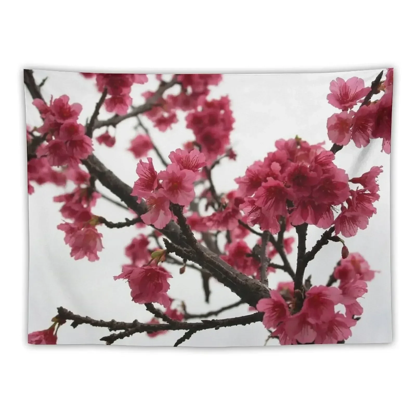 Okinawan Cherry Blossom Tapestry Aesthetic Room Decors Bedrooms Decorations Tapestry
Okinawan Cherry Blossom Tapestry Aesthetic Room Decors Bedrooms Decorations Tapestry