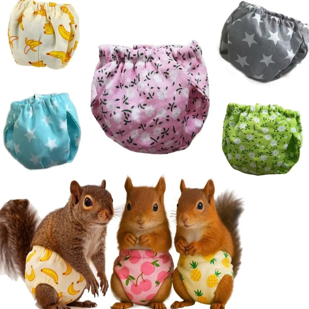 Absorbent Squirrel Diapers Breathable Leak-Proof Squirrel Underwear Adjustable Flexible Closure Pet Training Pants
Absorbent Squirrel Diapers Breathable Leak-Proof Squirrel Underwear Adjustable Flexible Closure Pet Training Pants