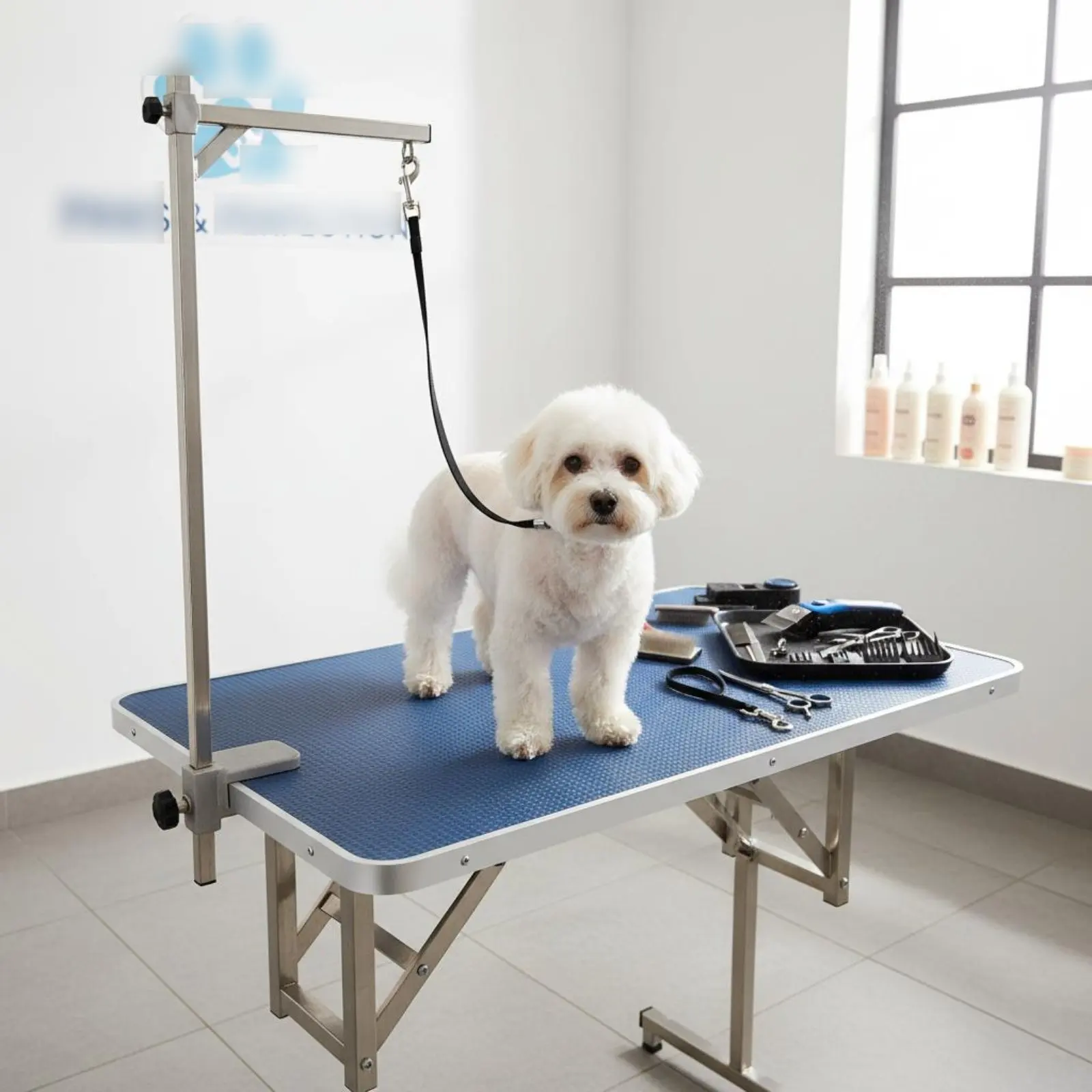 Pet Grooming Restraint Rope Adjustable Grooming Table Noose Suction Holder Pet Tether Sturdy for Bathing
Pet Grooming Restraint Rope Adjustable Grooming Table Noose Suction Holder Pet Tether Sturdy for Bathing