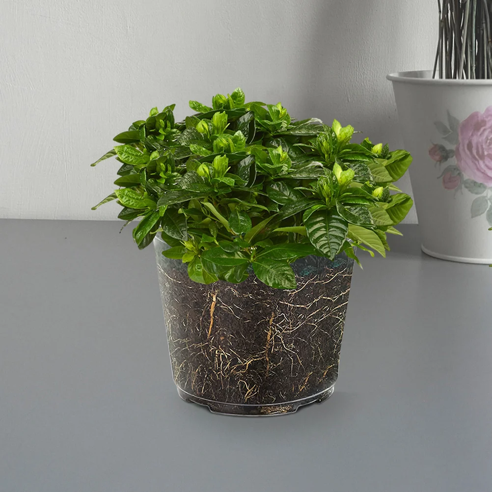 Clear Pots For Plants Transparent Flower Set Indoor Small Orchid Orchids Plastic Garden
Clear Pots For Plants Transparent Flower Set Indoor Small Orchid Orchids Plastic Garden