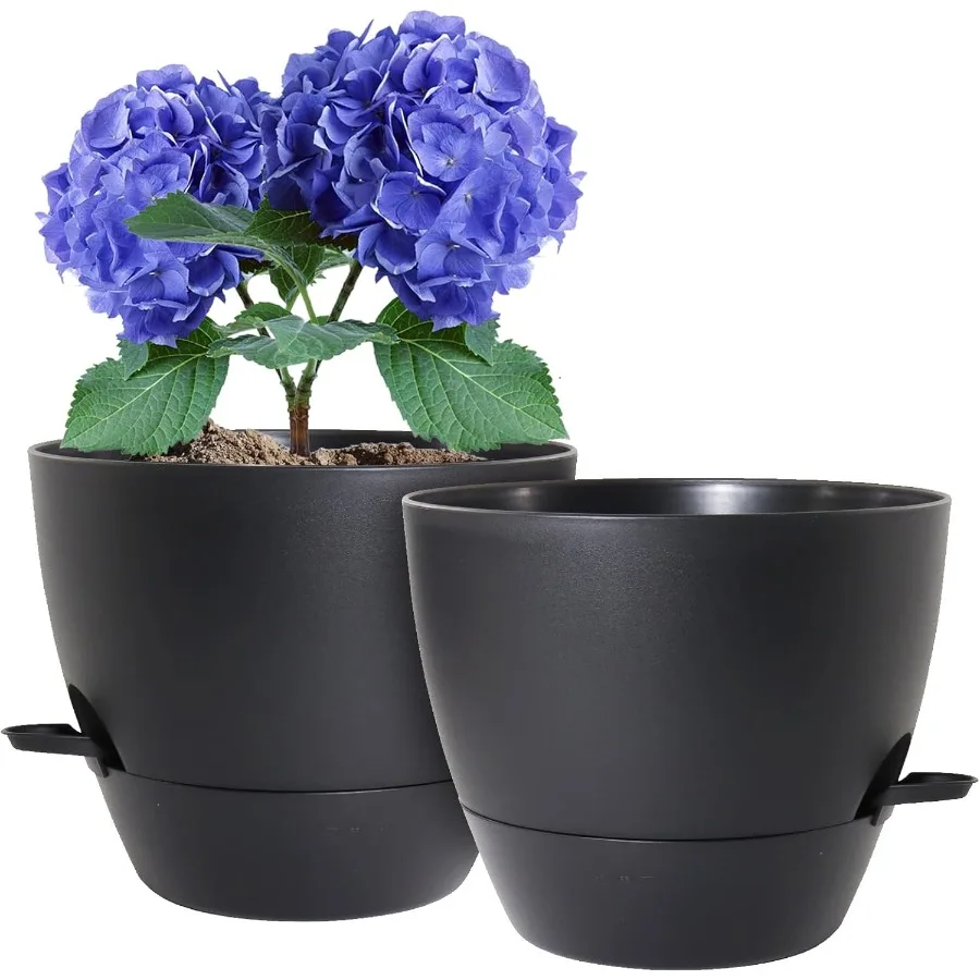 8 inch Self Watering Pots 2 Pack Plastic Planters with Mesh Drainage Holes for Garden Plants and Flower Plants Pots with Deep R
8 inch Self Watering Pots 2 Pack Plastic Planters with Mesh Drainage Holes for Garden Plants and Flower Plants Pots with Deep R
