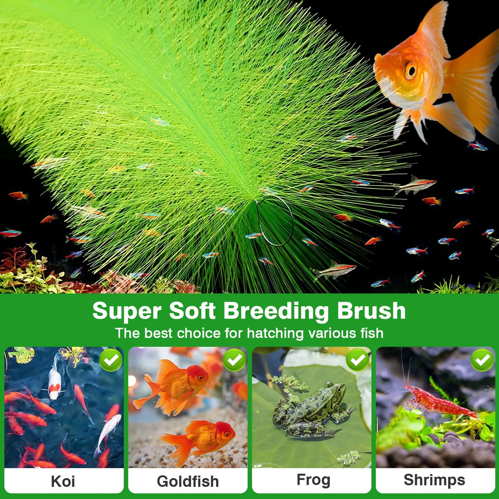 2 Pcs Aquatic Plant Holders Fish Tank Plants Simulation Grass Driftwood for Aquarium
2 Pcs Aquatic Plant Holders Fish Tank Plants Simulation Grass Driftwood for Aquarium