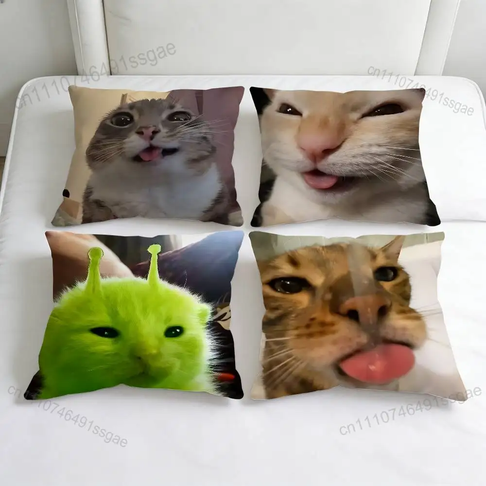 Funny Cat MeMe Decorative Square Pillow Cover Soft & Comfortable Pillow Case Sofa Bed Home Decoration
Funny Cat MeMe Decorative Square Pillow Cover Soft & Comfortable Pillow Case Sofa Bed Home Decoration