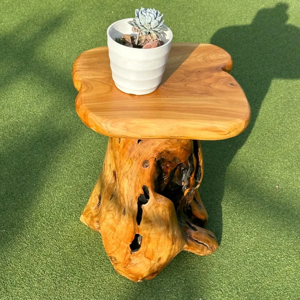 18.9 Tall Tree Stump Stool for Porch, Natural Wooden Side Table for Living Room, Live Edge End Table for Bedroom,Living
18.9 Tall Tree Stump Stool for Porch, Natural Wooden Side Table for Living Room, Live Edge End Table for Bedroom,Living