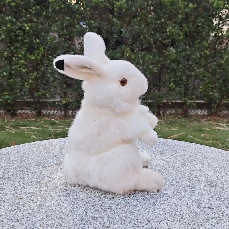 Simulated Arctic Rabbit Little White Rabbit Plush Toy Snow Rabbit Doll Early Education Prop Kawaii Toy Gifts
Simulated Arctic Rabbit Little White Rabbit Plush Toy Snow Rabbit Doll Early Education Prop Kawaii Toy Gifts