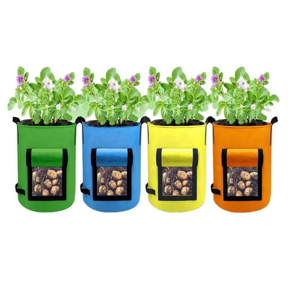 Garden Pot Sturdy Handle Plant Grow Bag Set of 4 Capacity Colorful Potato Grow Bags with Reinforced for Growing for Gardeners
Garden Pot Sturdy Handle Plant Grow Bag Set of 4 Capacity Colorful Potato Grow Bags with Reinforced for Growing for Gardeners