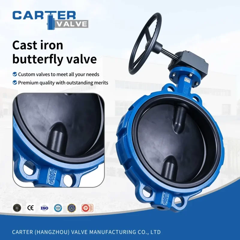 Ductile Iron DI GGG50 Butterfly Valve Wafer Lug Type Gear Operated EPDM Soft Seal Water Sewage HVAC DIN PN16 150LB OEM Custom
Ductile Iron DI GGG50 Butterfly Valve Wafer Lug Type Gear Operated EPDM Soft Seal Water Sewage HVAC DIN PN16 150LB OEM Custom