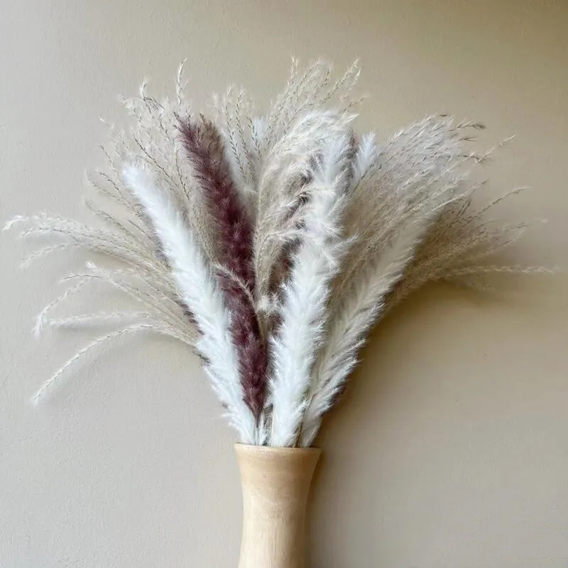 Primary Color,White,Pink Natural Small Pampas Flore Real Plants Wedding Home Decor High Quality Natural Dried Flower
Primary Color,White,Pink Natural Small Pampas Flore Real Plants Wedding Home Decor High Quality Natural Dried Flower