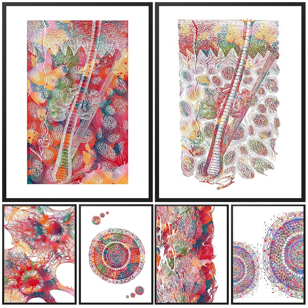 Abstract Dermatology Anatomy Cells Organization Poster Wall Art Canvas Painting Decor Wall Pictures For Living Room Unframed
Abstract Dermatology Anatomy Cells Organization Poster Wall Art Canvas Painting Decor Wall Pictures For Living Room Unframed