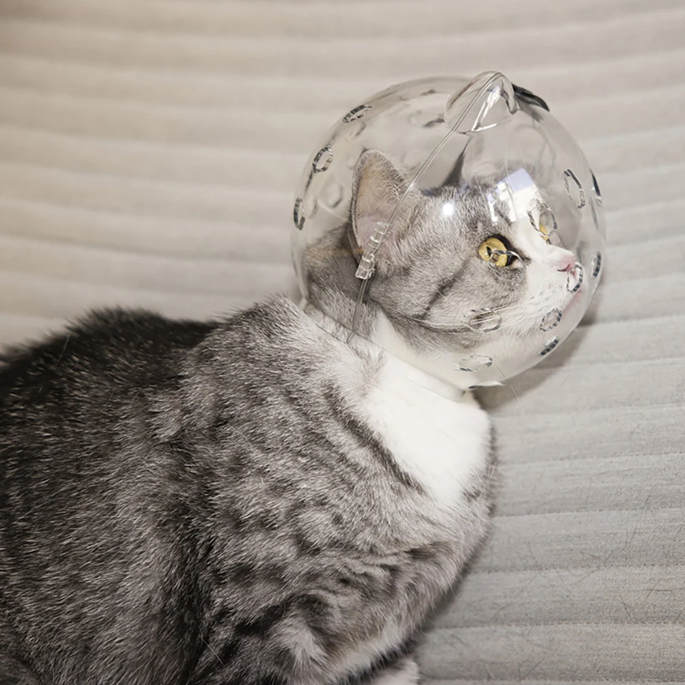 Pet Transparent Head Protective Space Ball Breathable Anti-bite Anti-Licking Cute Cat Ear Design Recovery Helmet
Pet Transparent Head Protective Space Ball Breathable Anti-bite Anti-Licking Cute Cat Ear Design Recovery Helmet