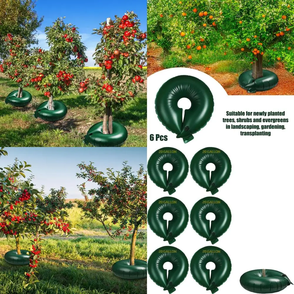 20 Gallon Heavy-Duty Tree Watering Rings - PVC Drip Irrigation for Deep Root Watering, Slow Release Pouch for Round Trees and Ga
20 Gallon Heavy-Duty Tree Watering Rings - PVC Drip Irrigation for Deep Root Watering, Slow Release Pouch for Round Trees and Ga